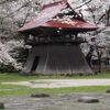 陸奥国分寺薬師堂の桜と自宅の花々