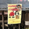 総社市農マル園芸 小山内先生 バラ講習&#127801;行ってきました♪