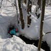 いのちのもり響命プロジェクト  生きた水を手で汲む人