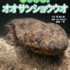 【雑談】明けましておめでとうございます