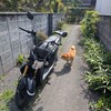 原付バイクでゆくアイスタ物語