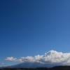 ４月１日２日の富士山・ニリンソウ咲いた