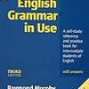  English Grammar in Use With Answers