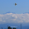紫金山・アトラス彗星