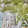 Explore a city！-表参道の現代建築- / Art&Architecture＃489
