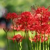 【ヒューマンデザイン】自分に無い「色」を追い求める