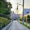 不安遺伝子と元気なかぼちゃ
