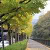 サトウのメンチカツ（吉祥寺、元祖丸メンチ）