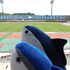 金星とは言わせない：高知ユナイテッドSC対HONDA FC＠春野陸(2024.4.28.)