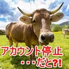 ドットマネー（.money）アカウント停止！まず試すべき解除方法！