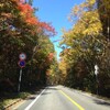 草津温泉から紅葉の奥志賀スーパー林道