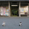 小湊鉄道　高滝駅