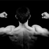 筋肉と姿勢の関係