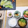 野菜が主役になる白菜ステーキ