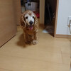 マシューが少し回復してきて