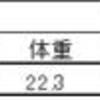 2022/12/28  大型・極太系オオクワガタ羽化・♂②