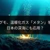深海ウミグモ、温暖化ガス「メタン」を食糧に！日本の深海にも応用？