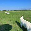 長女ちゃんの続き