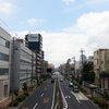 蒸し暑さに撃沈