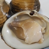 産地で食べたい旬の味　旨味と甘味がたまらない！ほっき貝（宮城など）