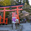 アタクシのお花見2025〈金櫻神社・完結編〉