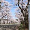 ちはやふる聖地巡礼(あわら市)