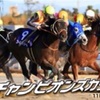 【3連敗中】2018チャンピオンズC ゴーヤ君の競馬日記#4