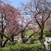 今週の読書記録（220417）