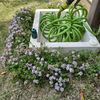 ホースとヘッドの間から水漏れです。