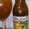 294 The Carpenter's Mikan Ale