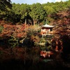 Daigoji - 醍醐寺 有名な風景