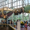 「ハンドシェイク・イン・スペース」アポロ-ソユーズ実験プロジェクト