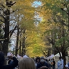 東京大学 駒場祭