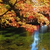 No.321【栃木県】聖なる泉「出流原弁天池」で命の洗濯を！周囲は紅葉に包まれ最高の季節！