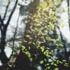 時のながれ