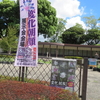 #日比谷公園#変化朝顔展