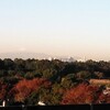 本日は霞がかり富士山