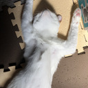 ADHDとHSPの見える世界