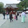 鎌倉 鶴岡八幡宮の本殿、宝物館、斉館、境内の国宝館 を見学・・・