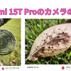 【PR】Leicaカメラ搭載！Xiaomi 15T Proのカメラの作例【No3・完結編】