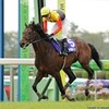 140419中山競馬場＜中山グランドジャンプ＞