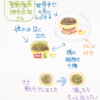可愛い小さなハーブ栽培