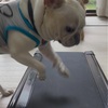 2025年10月12日🐾 今日のマヤ暦