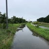 本日のアクティヴィティ 雨ラン15km