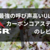 【追記：簡単に折れました】最強の呼び声高いULペグ　MSR　カーボンコアステイクのレビュー
