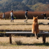 日曜日の風景