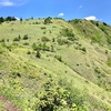 八間山　野反湖　ギンリョウソウ