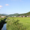 梅雨が明けて朝からいい天気になった。