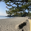 日帰り高知旅