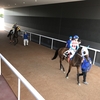 新・名古屋競馬場 初観戦！